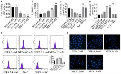 Non-esterified Fatty Acid Induce Dairy Cow Hepatocytes Apoptosis via the Mitochondria-Mediated ROS-JNK/ERK Signaling Pathway